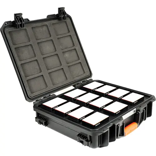 Aputure MC Rental